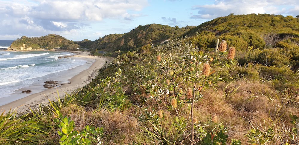 View of Shelley Beach from dunes at Bielby's Beach